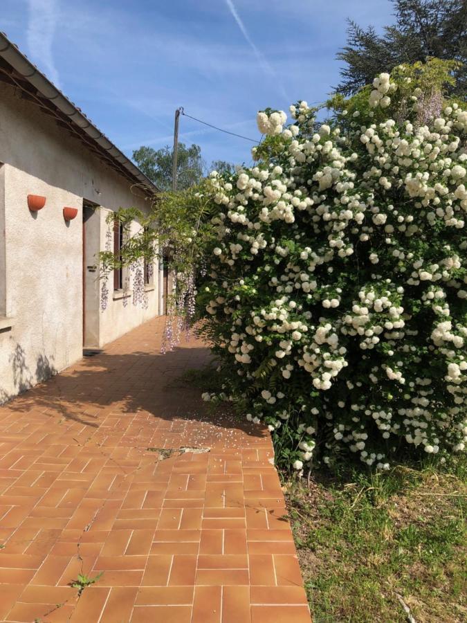 La Cabanes Senouillac ภายนอก รูปภาพ